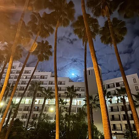 Vina Del Mar Apartman Playa Feñabe Kültér fotó
