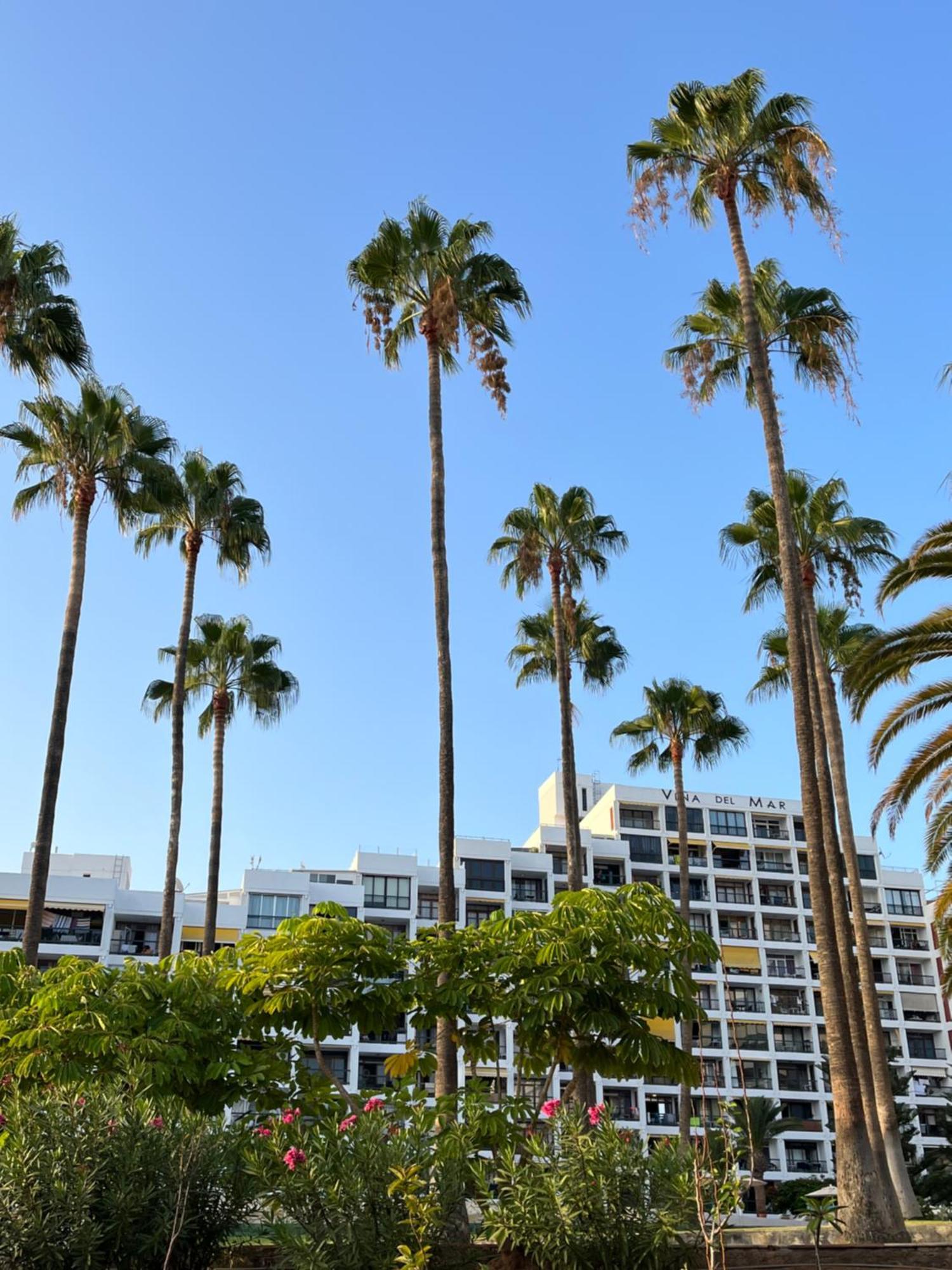 Vina Del Mar Apartman Playa Feñabe Kültér fotó